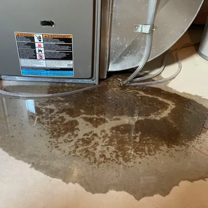 Appliance Leak Cleanup in Cranston, RI